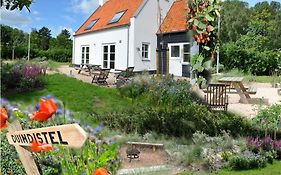 De Duindistel Bed By The Sea
